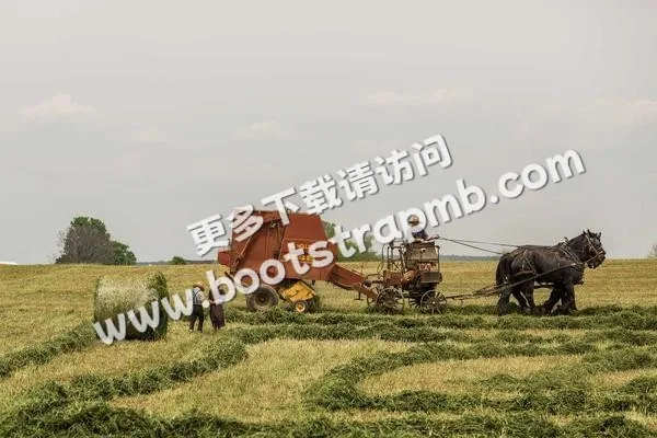 ⊞ Portfolio - 世界杯直播dachengli